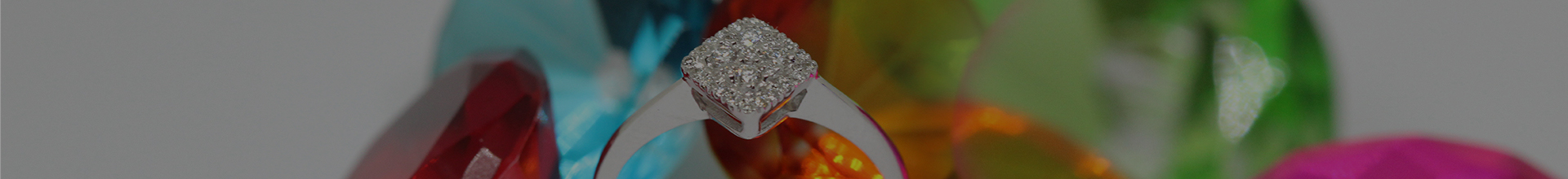 Vinita Jewellery House Cover